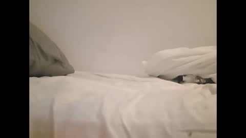 greekprince77 online show from March 2026 12:56:01 PM