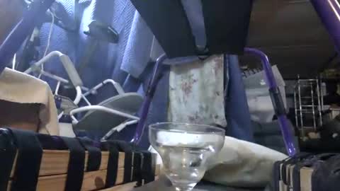 electrogee1 online show from September 2025 03:28:01 AM