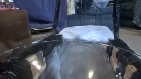 electrogee1 online show from February 2026 12:07:01 AM