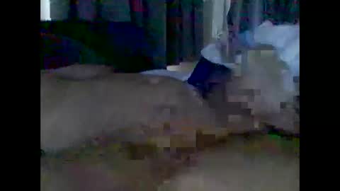 grittslappa online show from May 2026 01:55:01 AM