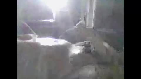 grittslappa online show from May 2026 12:38:01 AM