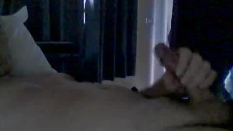 Snapshot of grittslappa chatting on June 2026 04:28:01 AM grittslappa online show from June 2026 04:28:01 AM