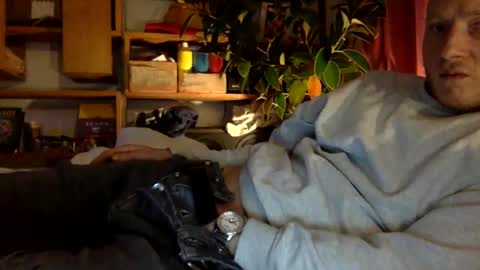 gruendamien online show from January 2025 03:37:02 PM