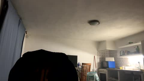 guardiannif_ online show from March 2025 10:47:01 PM