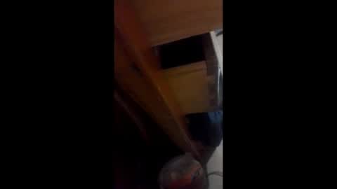guisoaaaa online show from May 2026 06:51:02 AM