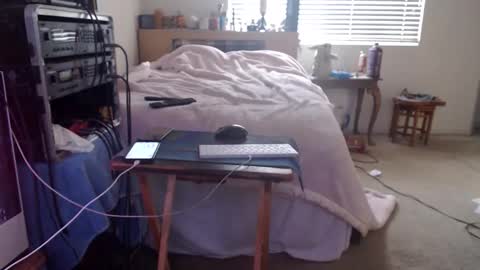 Mario online show from February 2026 09:00:01 PM