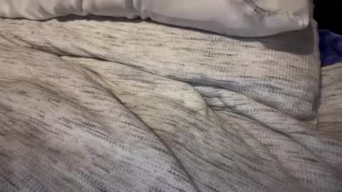 gumbywanna online show from February 2025 03:23:02 PM