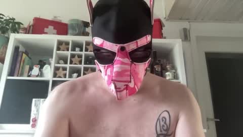 gummicasual online show from December 2025 10:43:01 AM