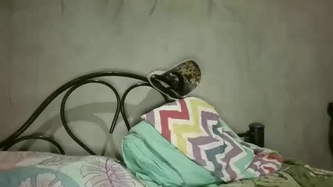 gus7894 online show from March 2026 03:44:01 AM