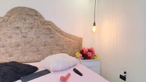 Snapshot of haileymiller1 chatting on December 2024 09:19:02 AM Haileymiler online show from December 2024 09:19:02 AM