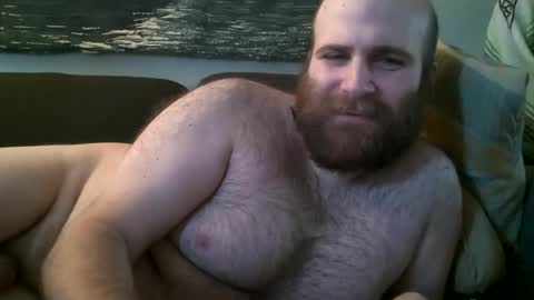 Hairiest Bear online show from December 2024 01:49:01 PM