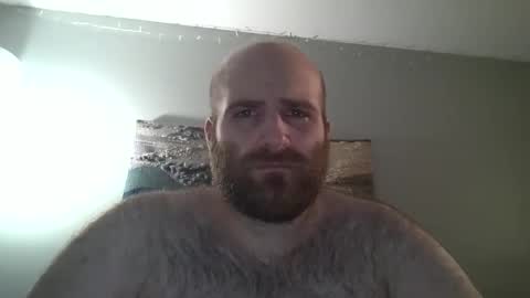 Hairiest Bear online show from December 2024 07:43:02 PM