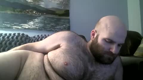 Hairiest Bear online show from January 2025 08:36:01 AM