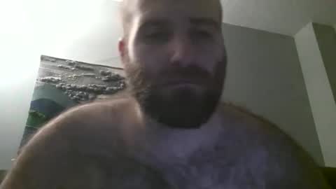 Hairiest Bear online show from January 2025 07:36:01 AM
