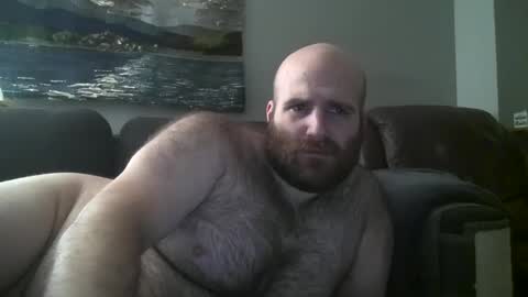 Hairiest Bear online show from January 2025 09:04:02 AM