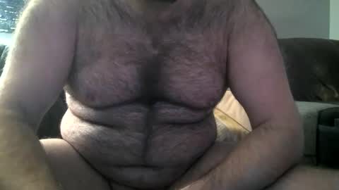 Hairiest Bear online show from February 2025 10:39:02 AM