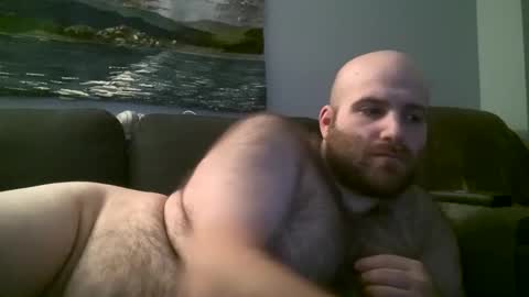 Hairiest Bear online show from February 2025 07:37:02 AM