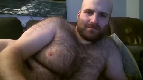 Hairiest Bear online show from February 2025 04:58:02 AM