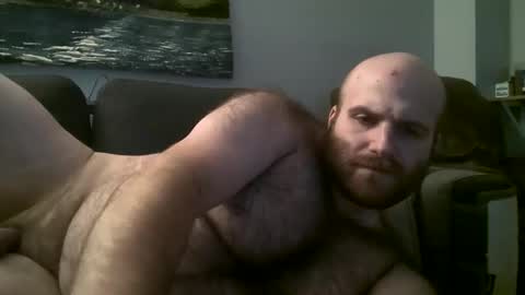 Hairiest Bear online show from March 2025 08:16:01 AM