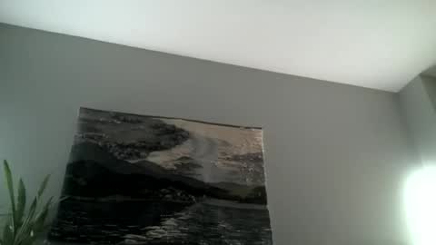 Hairiest Bear online show from November 2025 08:00:02 AM