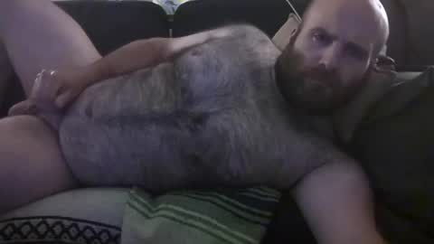 Snapshot of hairiestbear chatting on June 2026 09:59:02 AM Hairiest Bear online show from June 2026 09:59:02 AM