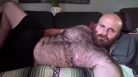 Snapshot of hairiestbear chatting on July 2026 08:30:01 PM Hairiest Bear online show from July 2026 08:30:01 PM