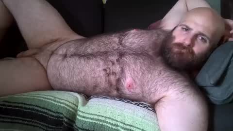 Snapshot of hairiestbear chatting on August 2026 08:08:01 PM Hairiest Bear online show from August 2026 08:08:01 PM