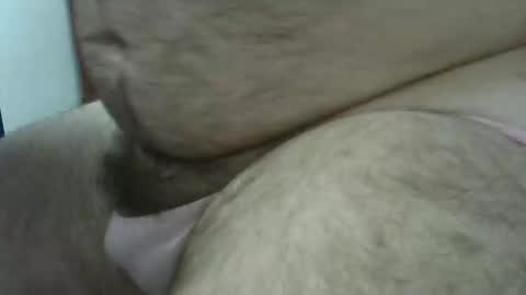 hairybeary1 online show from December 2024 05:16:01 PM