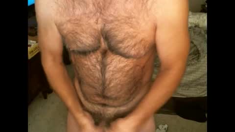 Hairy pecs online show from November 2025 09:42:02 AM
