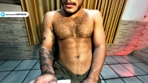 Snapshot of hairyshort chatting on January 2025 11:06:01 PM hairy and short online show from January 2025 11:06:01 PM