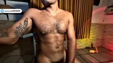 Snapshot of hairyshort chatting on January 2025 08:14:02 PM hairy and short online show from January 2025 08:14:02 PM