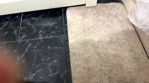 halebb online show from October 2025 01:06:01 AM