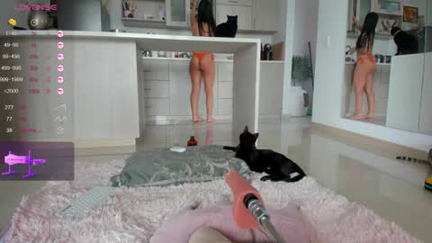 Snapshot of halliee chatting on December 2024 12:44:02 PM insta Laupalacio777Next stream 01th December online show from December 2024 12:44:02 PM