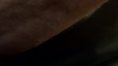 Snapshot of hamhead71 chatting on January 2025 08:59:01 PM hamhead71 online show from January 2025 08:59:01 PM