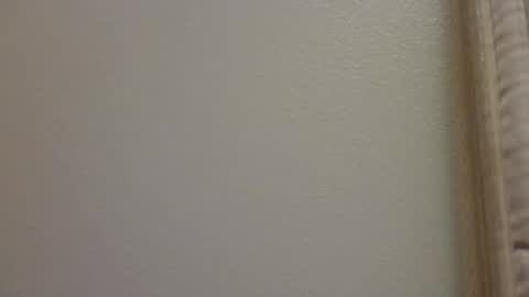 Snapshot of hamhead71 chatting on April 2026 03:48:01 AM hamhead71 online show from April 2026 03:48:01 AM