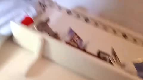 hand69someguy online show from March 2025 07:10:01 AM