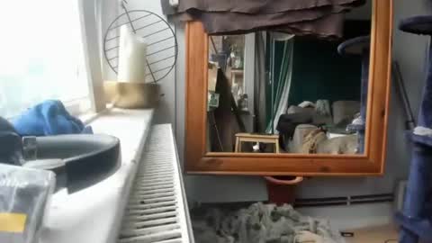 Snapshot of handncocknocum chatting on December 2024 11:17:01 AM handncocknocum online show from December 2024 11:17:01 AM