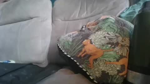 Snapshot of handncocknocum chatting on January 2026 08:51:02 AM handncocknocum online show from January 2026 08:51:02 AM