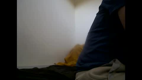 handsomepenis20cm online show from April 2026 04:22:01 PM