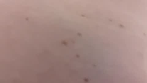 handsomerob42 online show from January 2026 06:23:02 PM