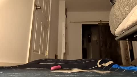 Handydick7373 online show from May 2026 04:06:01 AM
