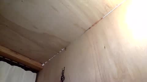 handywoody online show from February 2026 11:36:02 PM