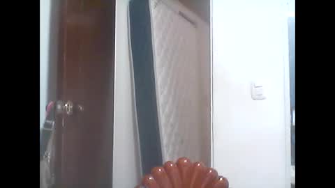 Snapshot of hanny_kail chatting on January 2026 07:11:01 PM hanny online show from January 2026 07:11:01 PM