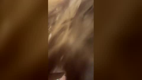hansywake online show from April 2026 03:32:01 PM