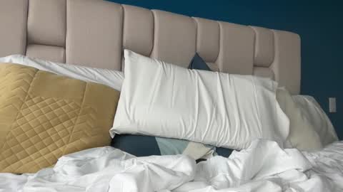 Snapshot of hanzlagerfelt chatting on November 2025 08:52:02 PM hanzlagerfelt online show from November 2025 08:52:02 PM