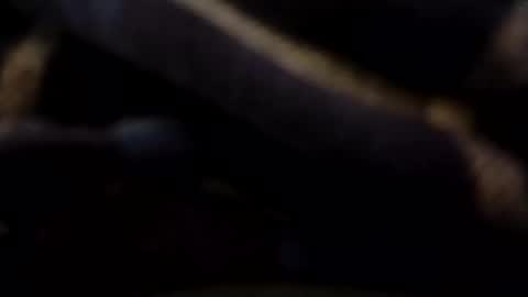 hardandhorny422 online show from May 2026 07:30:02 PM