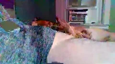 cervixpainter25 online show from November 2025 02:02:02 AM