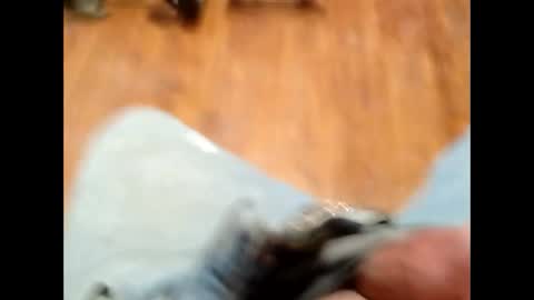 hardforu8675 online show from February 2026 06:07:01 AM