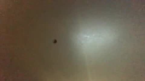 For You online show from September 2025 11:21:01 PM