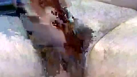 Hardonjohnny68 online show from December 2025 09:03:02 AM